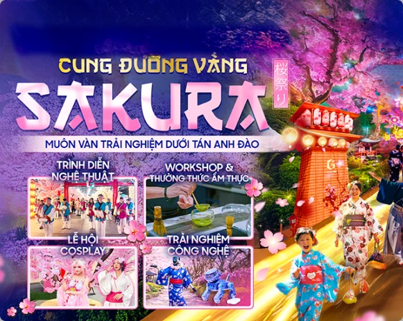Cung đường vàng Sakura